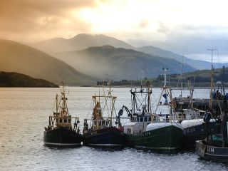 Fischerboote in Ullapool