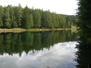 Waldsee Lac Miriouges am Weg zum Christ Roi