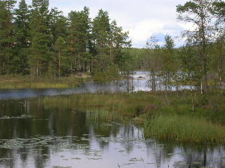 Landschaft bei der Wanderung bei Gngene