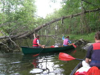 Hindernis im Fluss Lillven